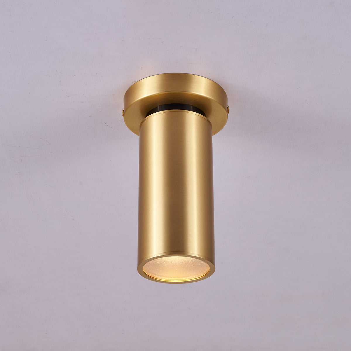 Syloran zeitgenössische minimalistische Messing-Deckenleuchte Spot Light