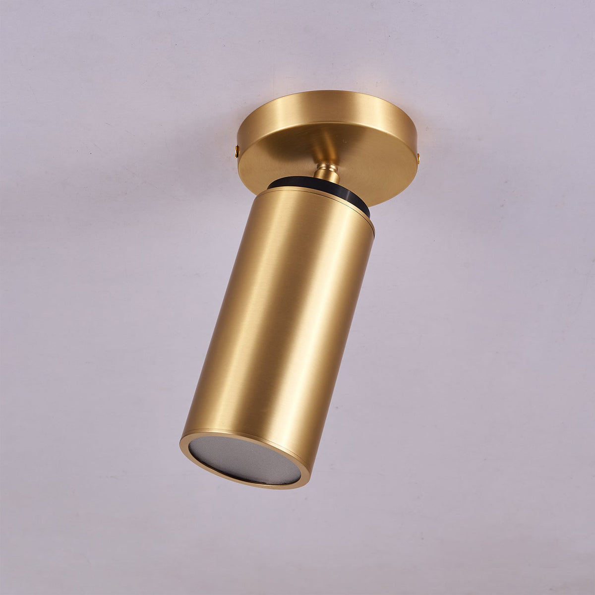 Syloran zeitgenössische minimalistische Messing-Deckenleuchte Spot Light