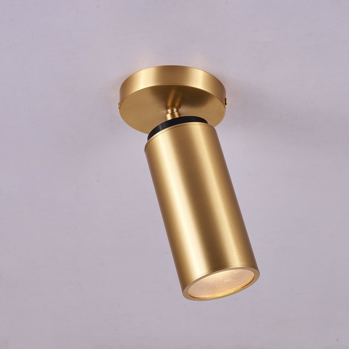 Syloran zeitgenössische minimalistische Messing-Deckenleuchte Spot Light