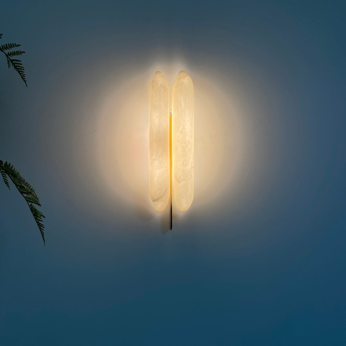 Husk Alabaster Wandleuchte