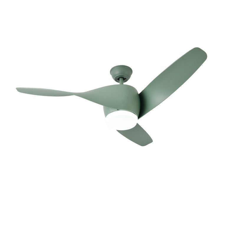 Liororeon Deckenventilator mit Beleuchtung