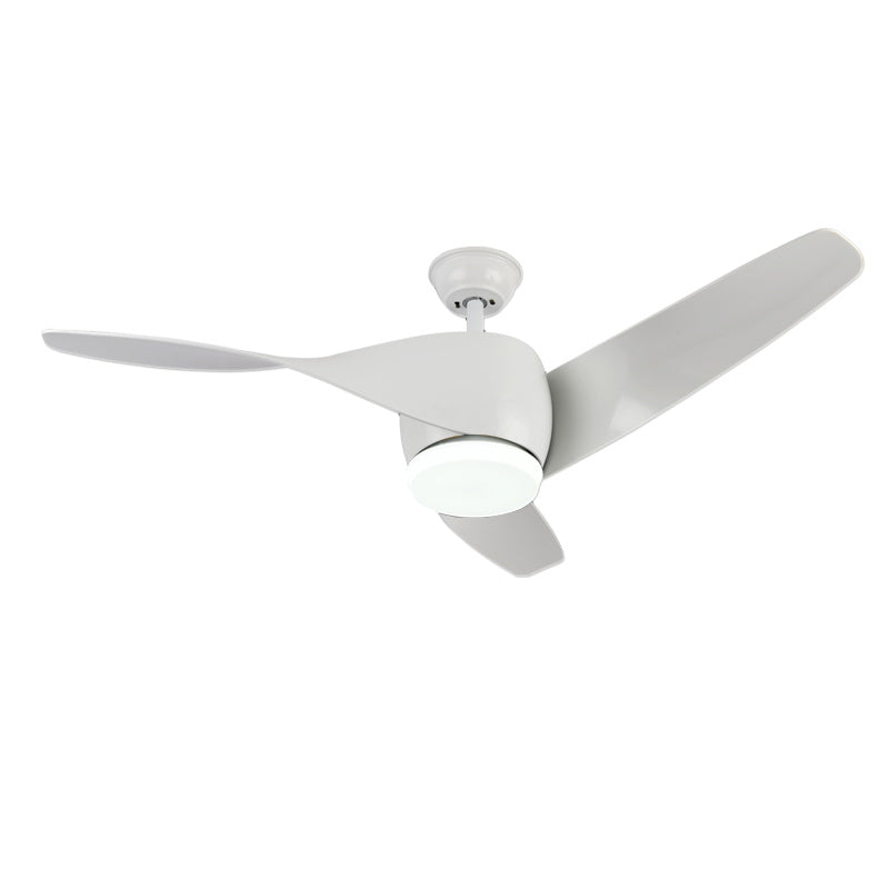 Liororeon Deckenventilator mit Beleuchtung