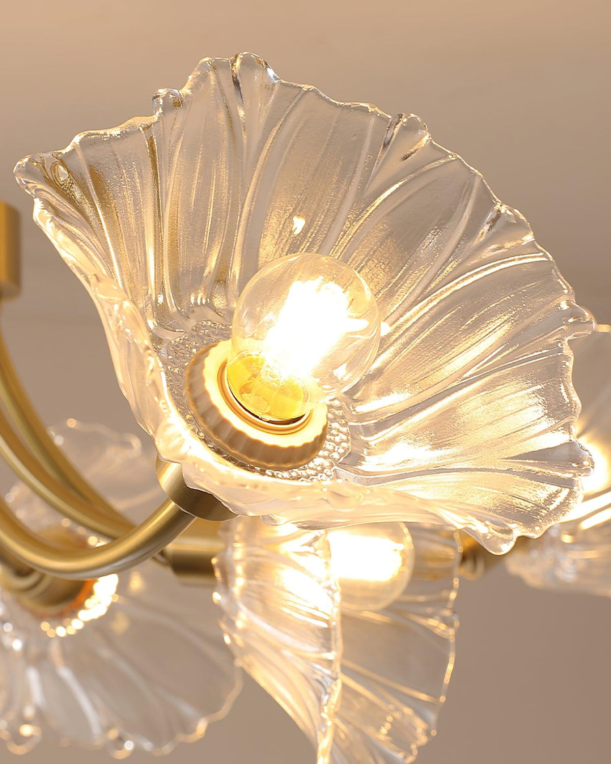 Fife Kronleuchter Kronleuchte Flower Glas mit Messing-Oberfläche