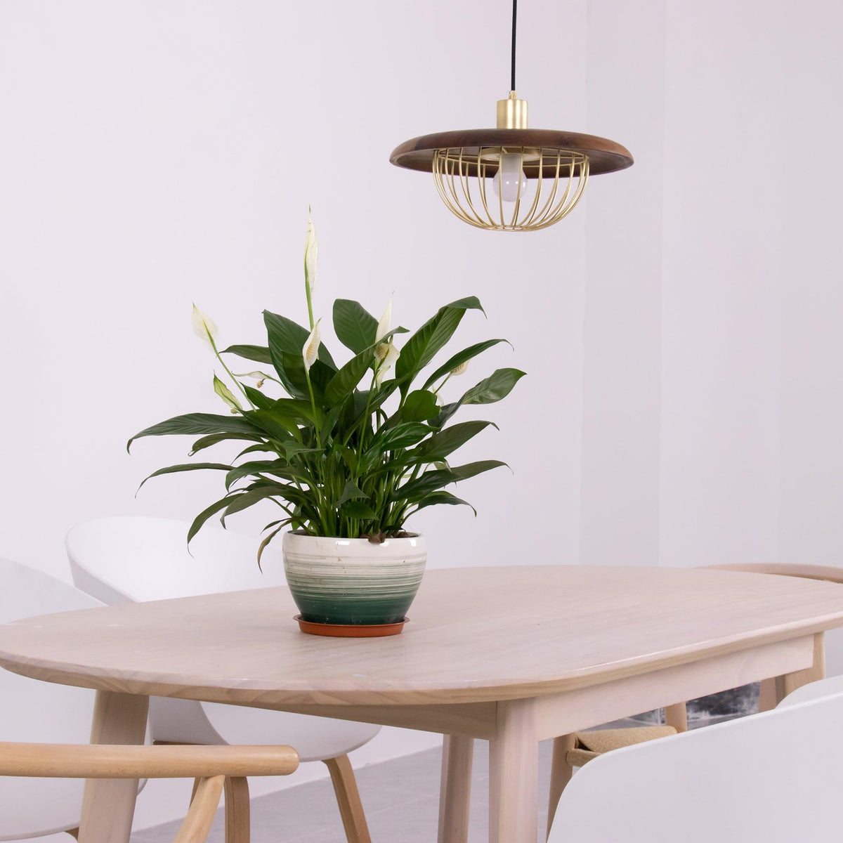 Rinoira Retro-Vintage-Pendelleuchte aus Holz