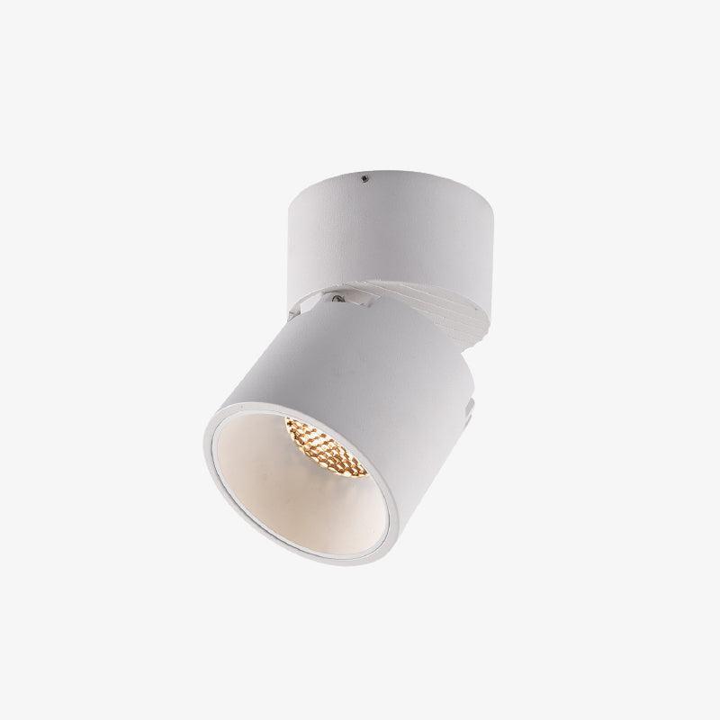 Alvynora zeitgenössische minimalistische Deckenleuchte Spotlights