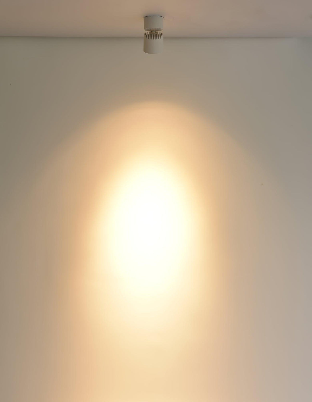 Alvynora zeitgenössische minimalistische Deckenleuchte Spotlights