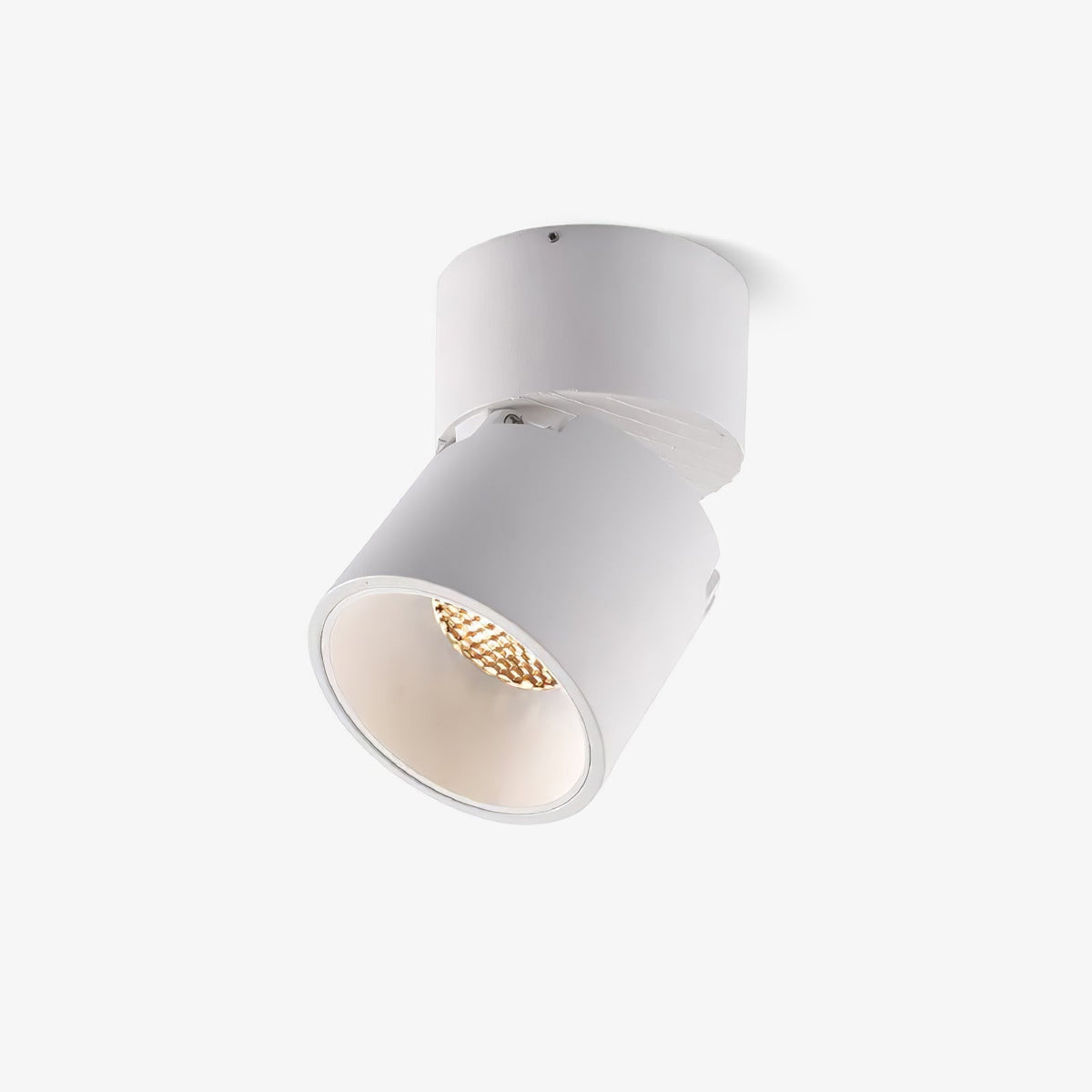 Alvynora zeitgenössische minimalistische Deckenleuchte Spotlights
