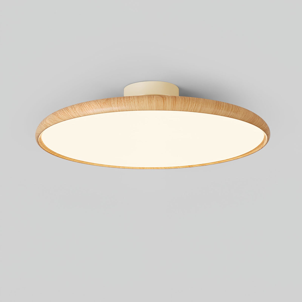 Ralemu zeitgenössische minimalistisch einstellbare Deckenleuchte