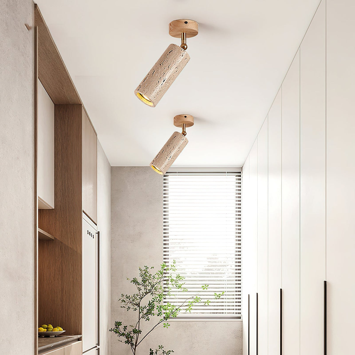 Lumaleon Deckenleuchte