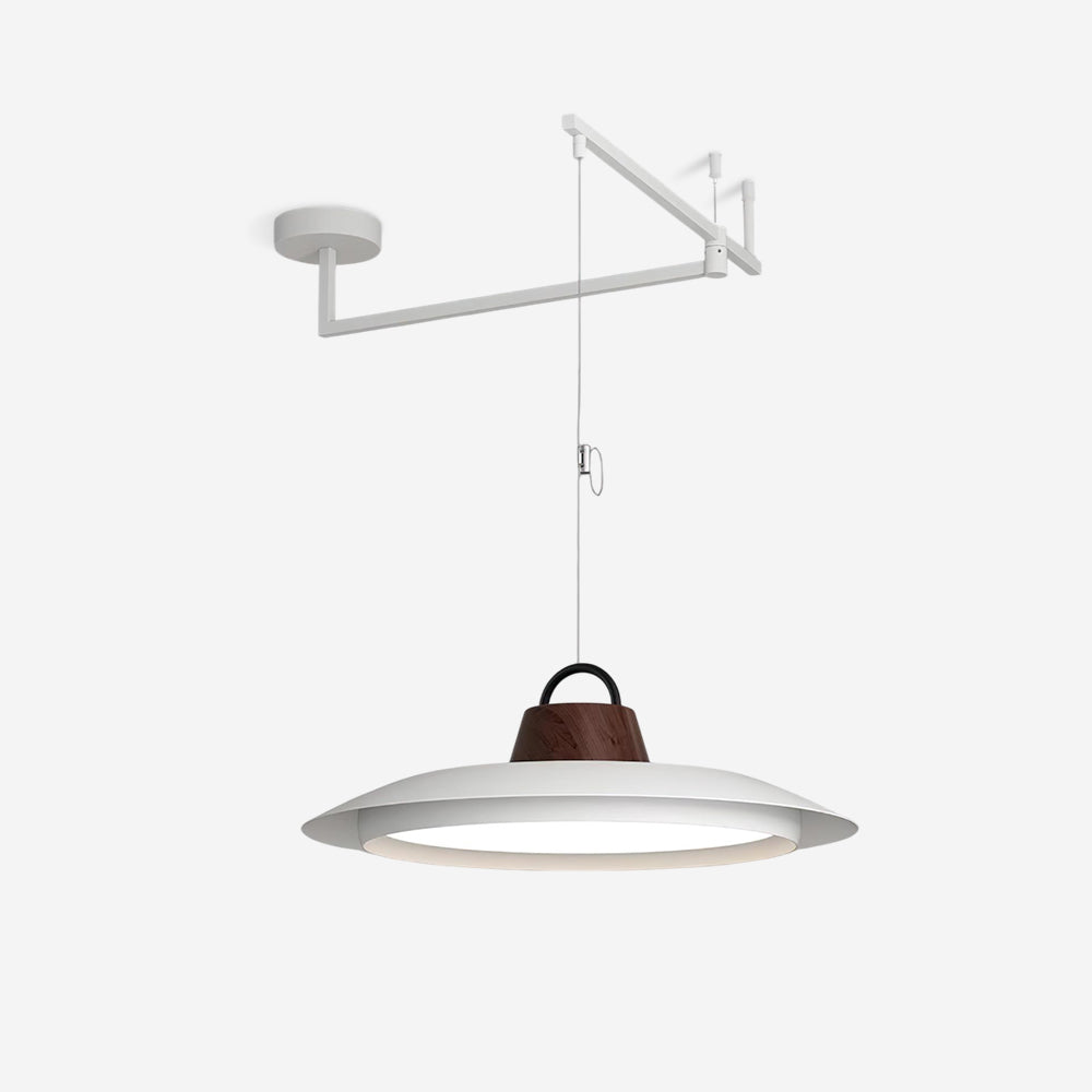 Elaisenne Pendelleuchte mit Schwenkarmlampe