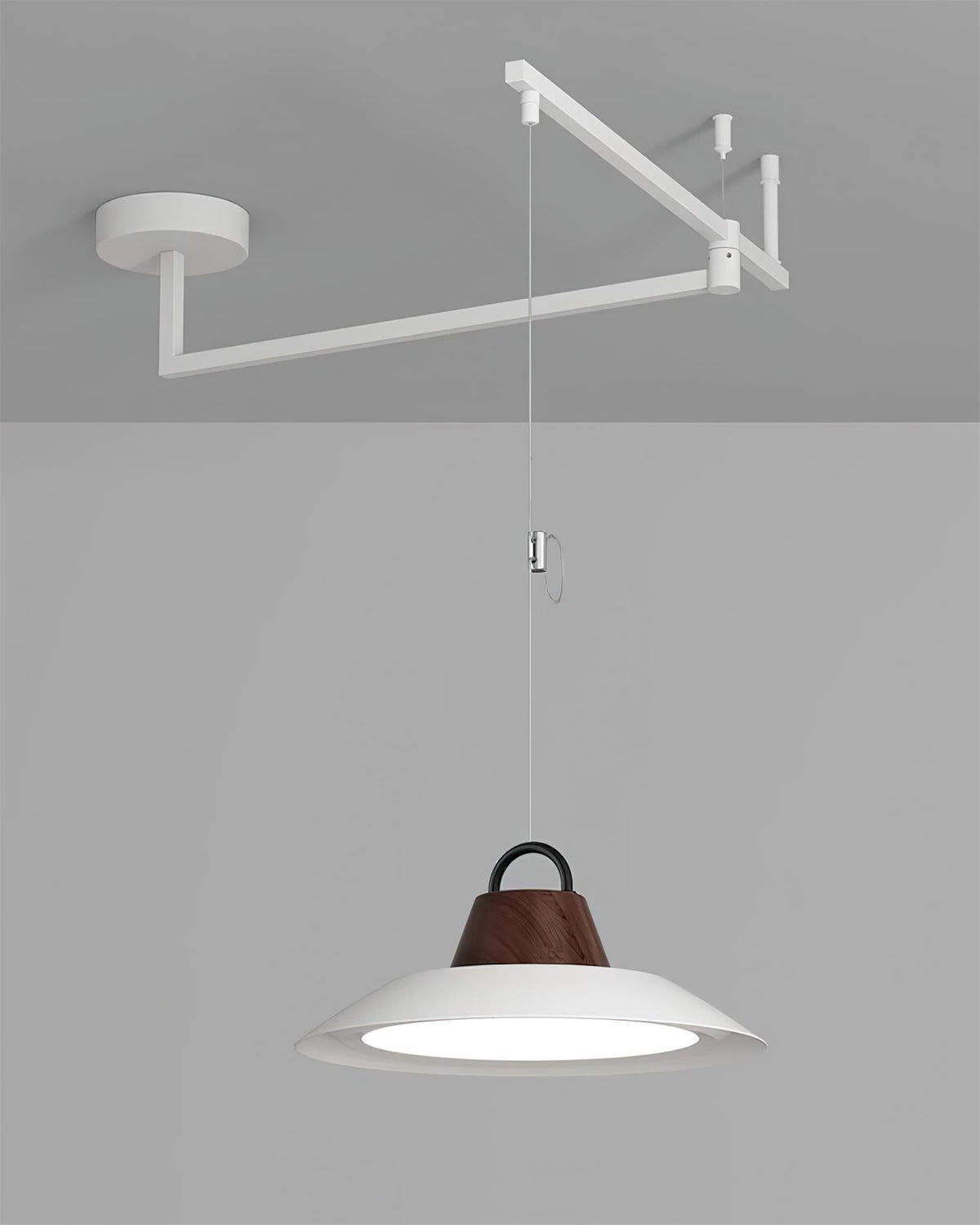 Elaisenne Pendelleuchte mit Schwenkarmlampe