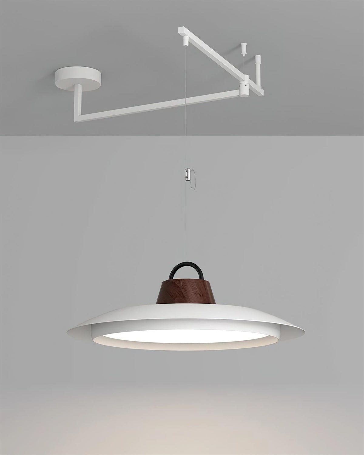 Elaisenne Pendelleuchte mit Schwenkarmlampe