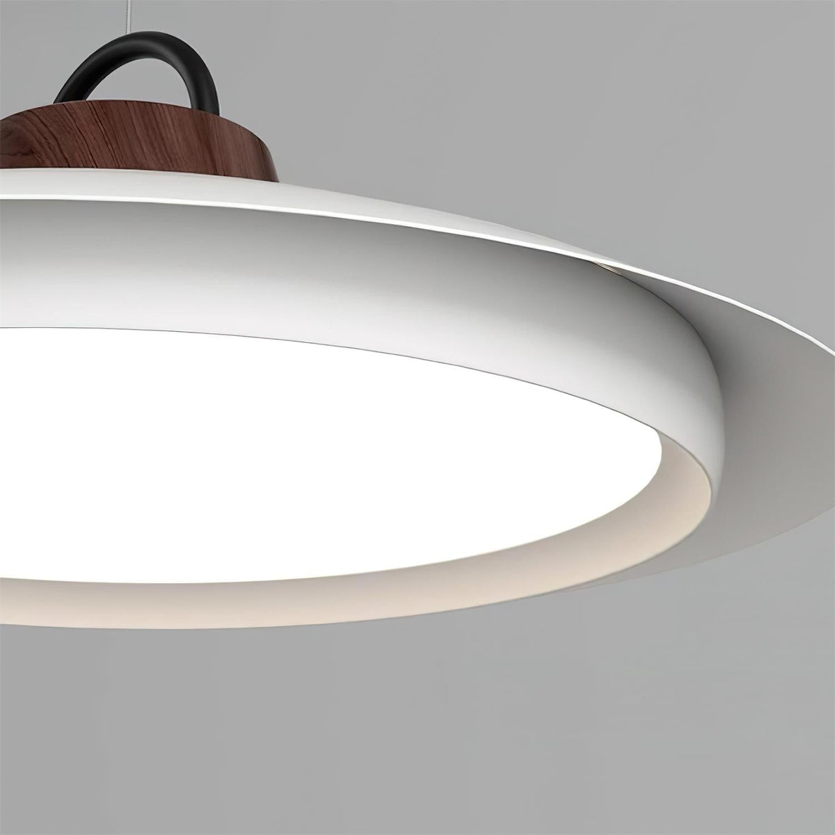 Elaisenne Pendelleuchte mit Schwenkarmlampe