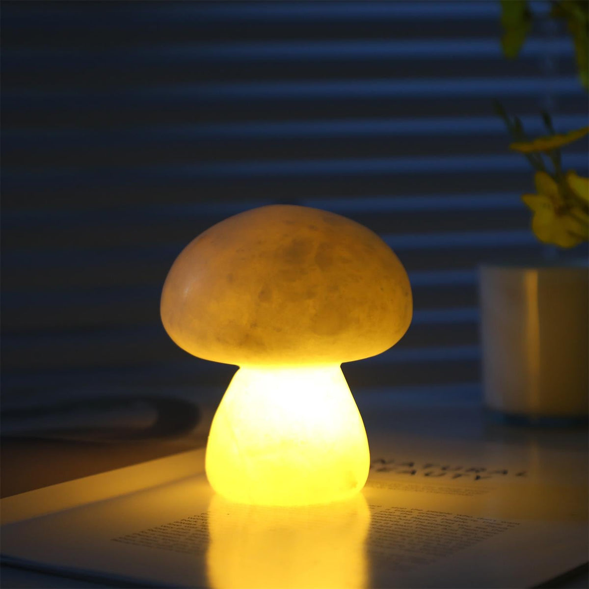 Fungi Tischleuchte (eingebaute Batterie)