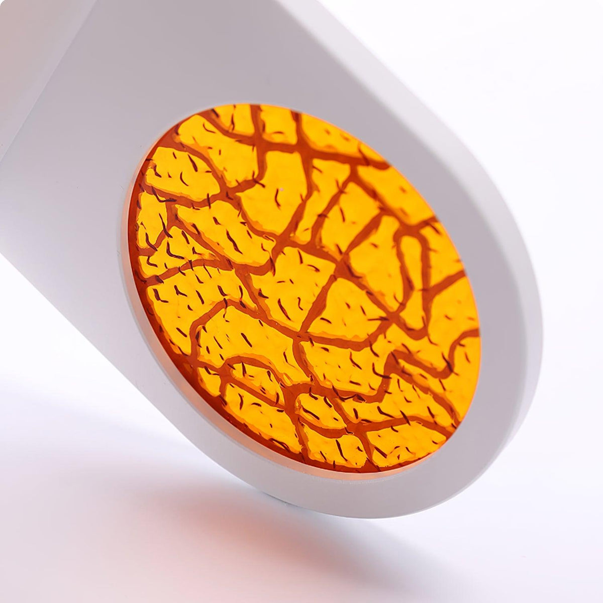 Caloaria Wandleuchte LED mit Ein-/Aus-Schalter verstellbar