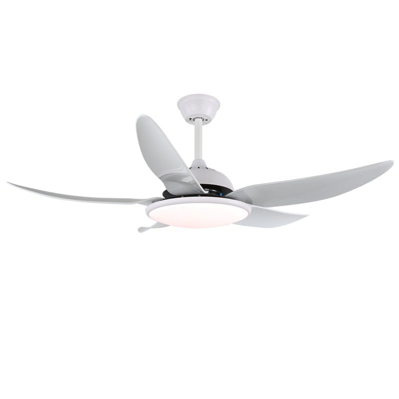 Aquila moderner Deckenventilator mit Beleuchtung