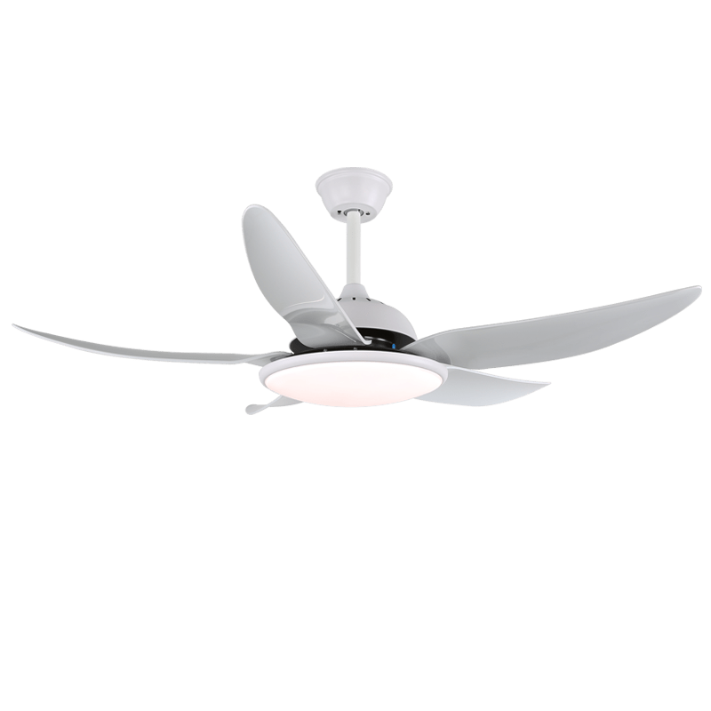 Aquila moderner Deckenventilator mit Beleuchtung