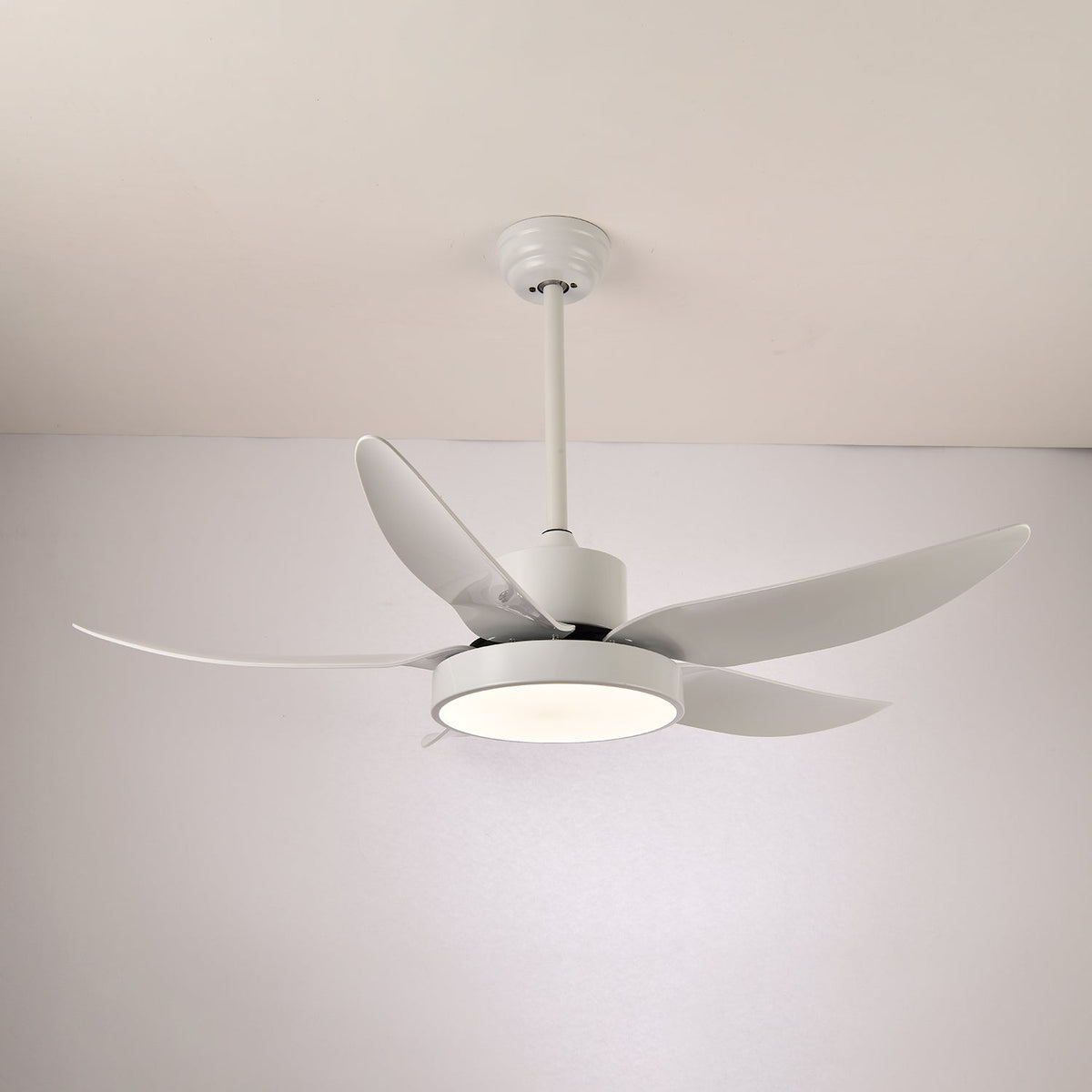 Selalise moderne Deckenventilator mit Beleuchtung