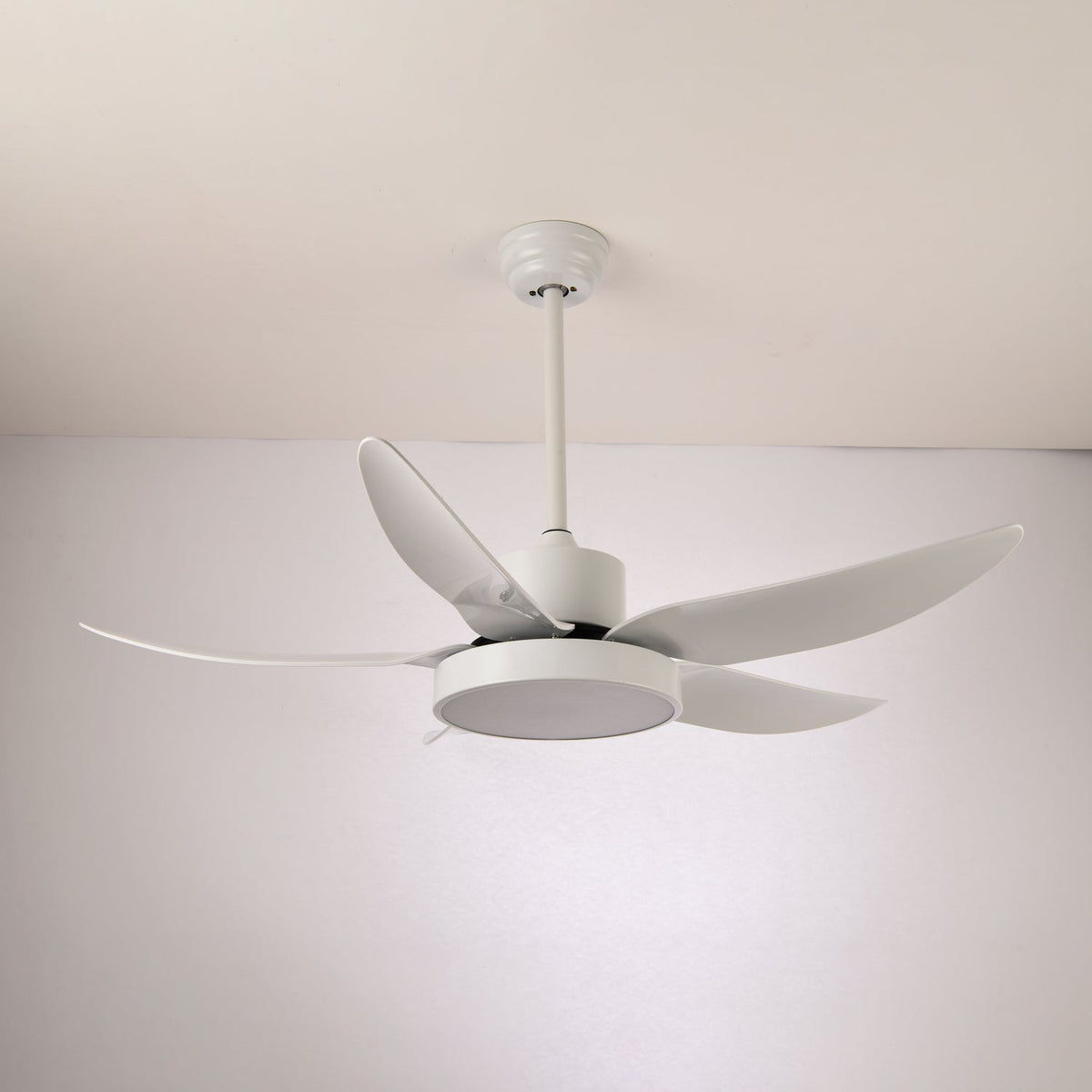 Selalise moderne Deckenventilator mit Beleuchtung