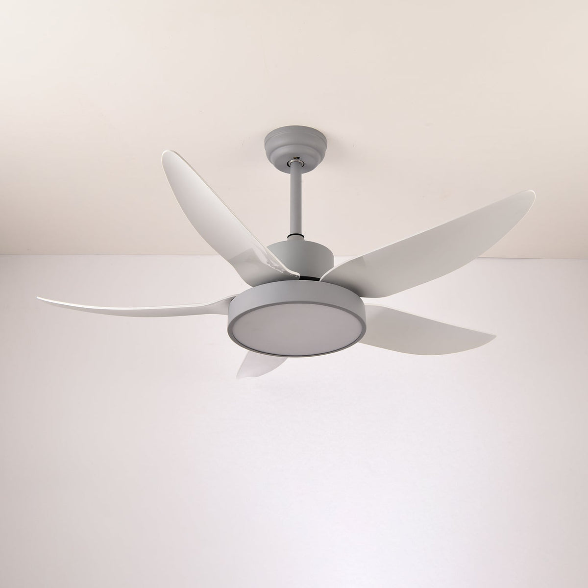Selalise moderne Deckenventilator mit Beleuchtung
