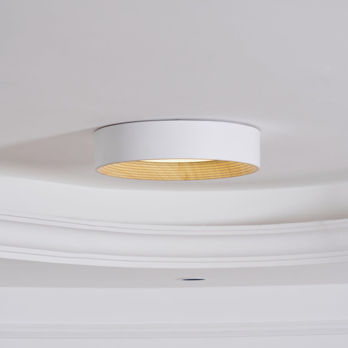 Elvirelle Deckenleuchte Holzring Minimalistisch einstellbar