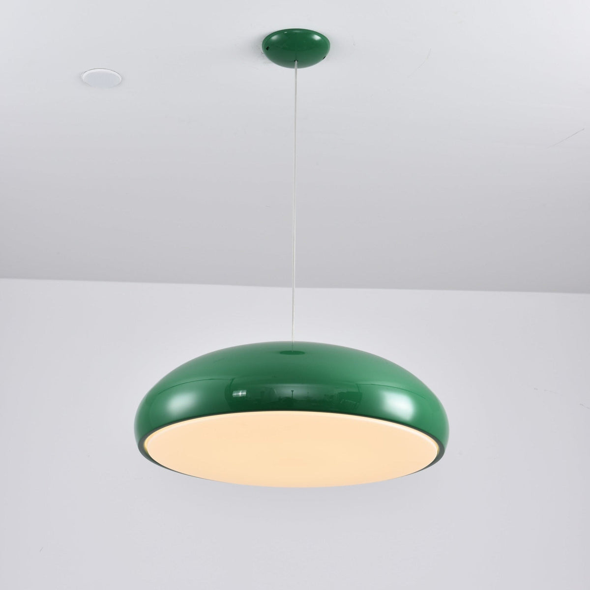 Renaraine Minimalistische Pendelleuchte