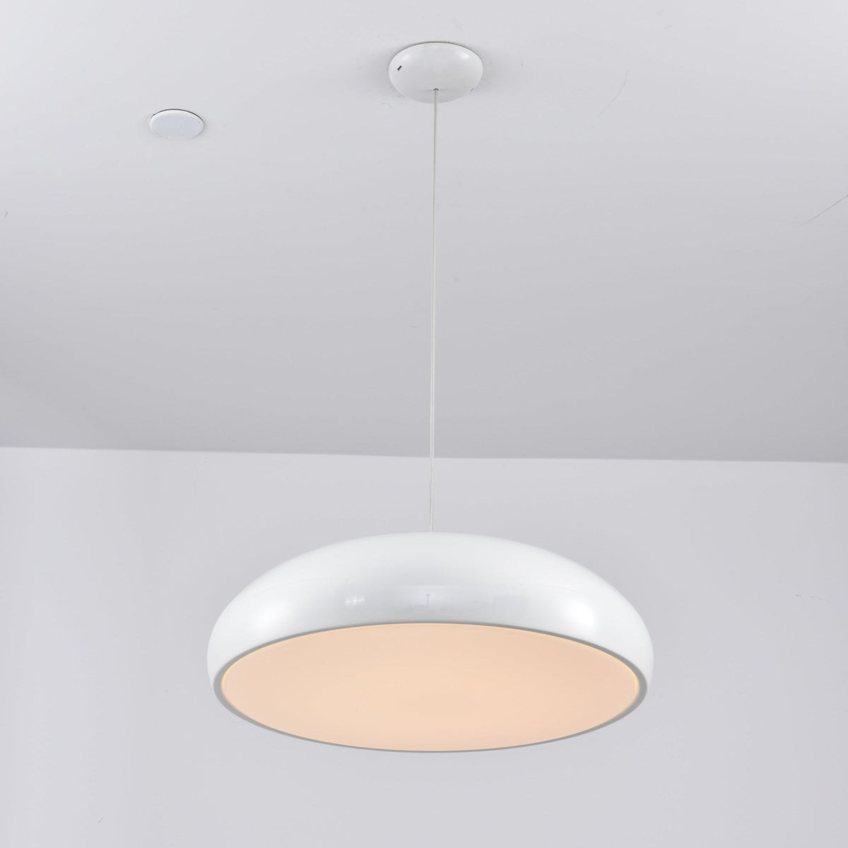 Renaraine Minimalistische Pendelleuchte