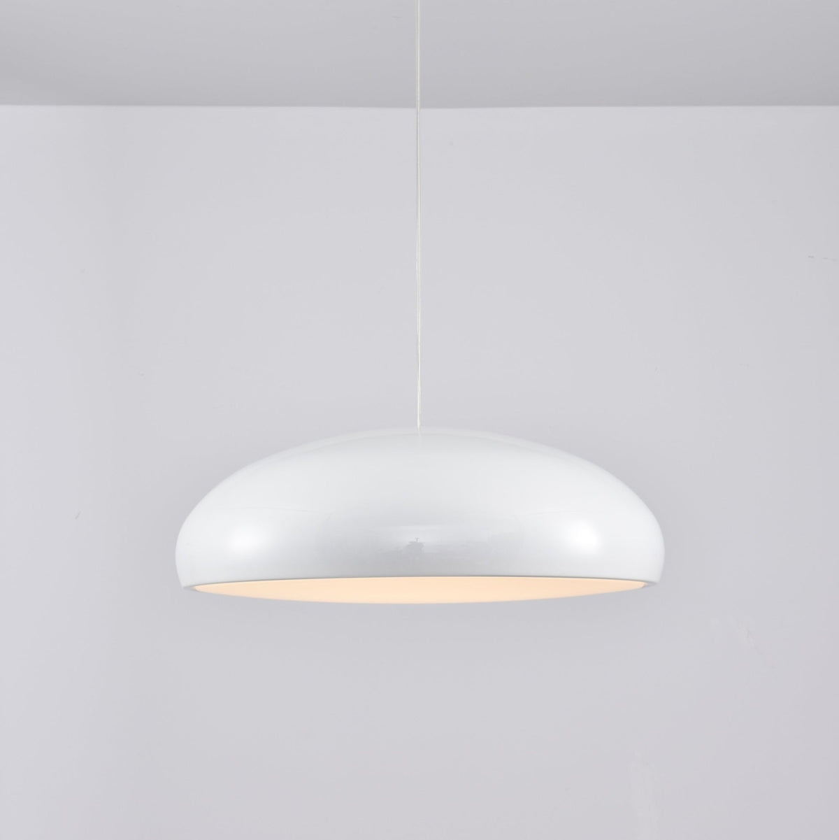 Renaraine Minimalistische Pendelleuchte