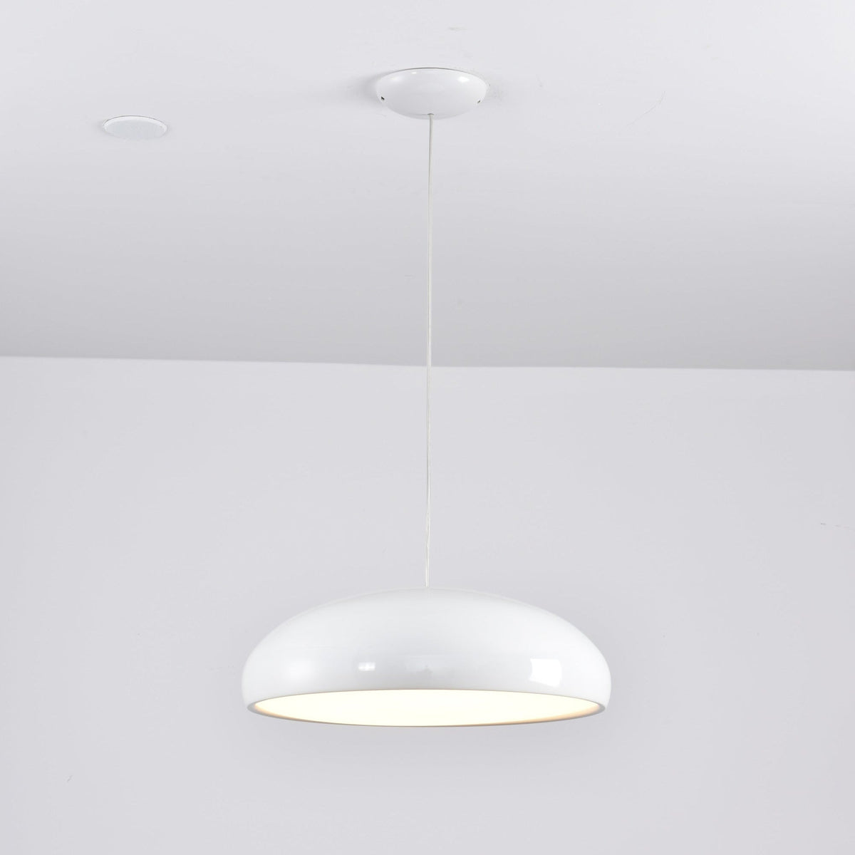 Renaraine Minimalistische Pendelleuchte