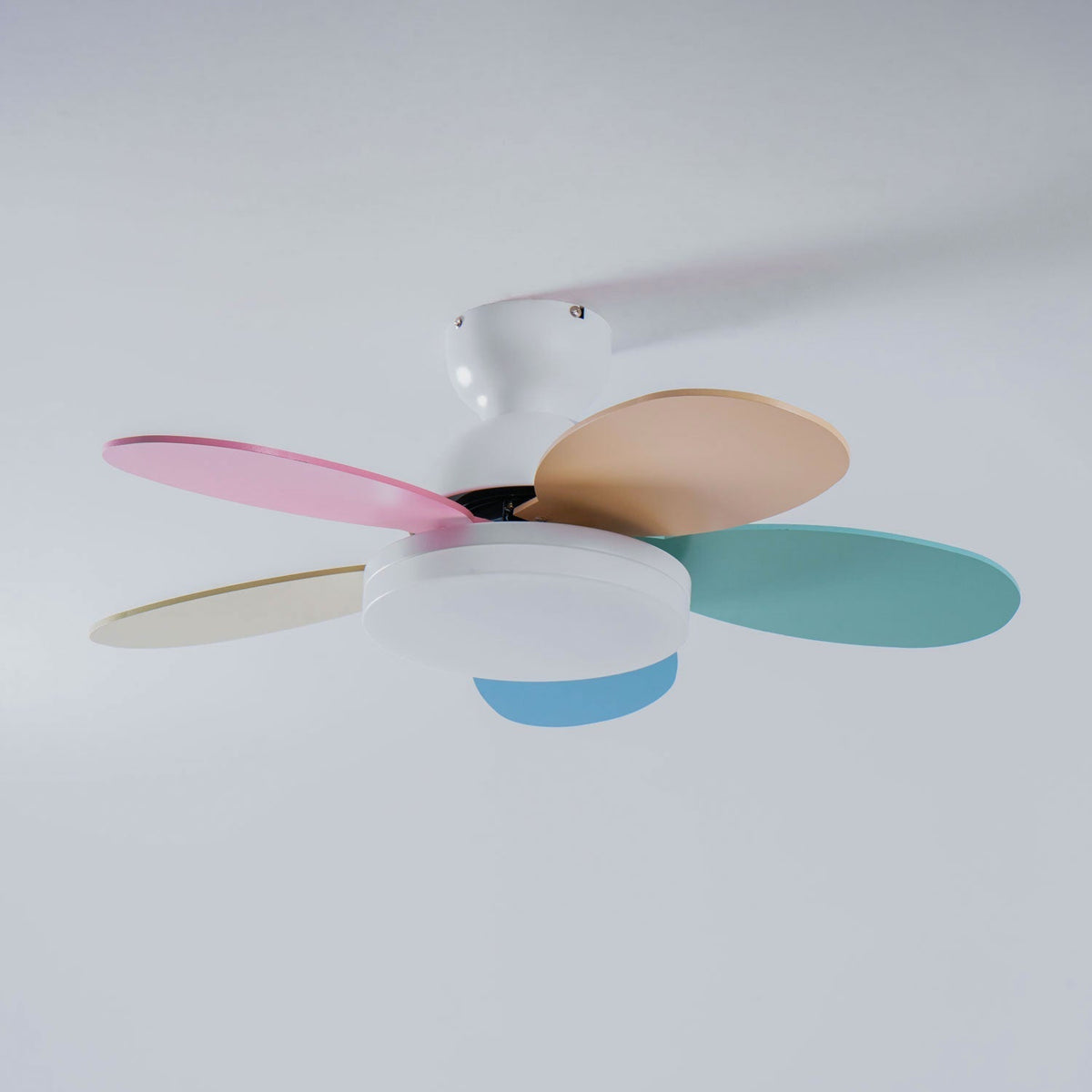 Eireise bunte Glas-Kinder-Deckenventilator mit Beleuchtung