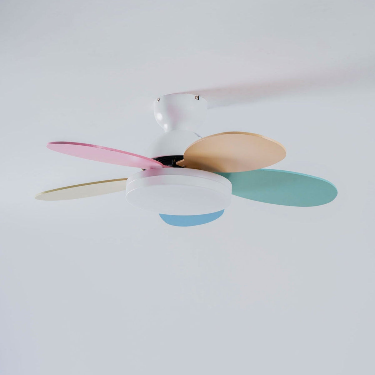 Eireise bunte Glas-Kinder-Deckenventilator mit Beleuchtung
