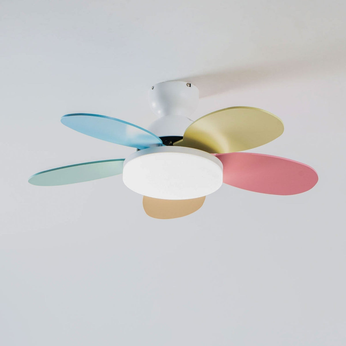 Eireise bunte Glas-Kinder-Deckenventilator mit Beleuchtung