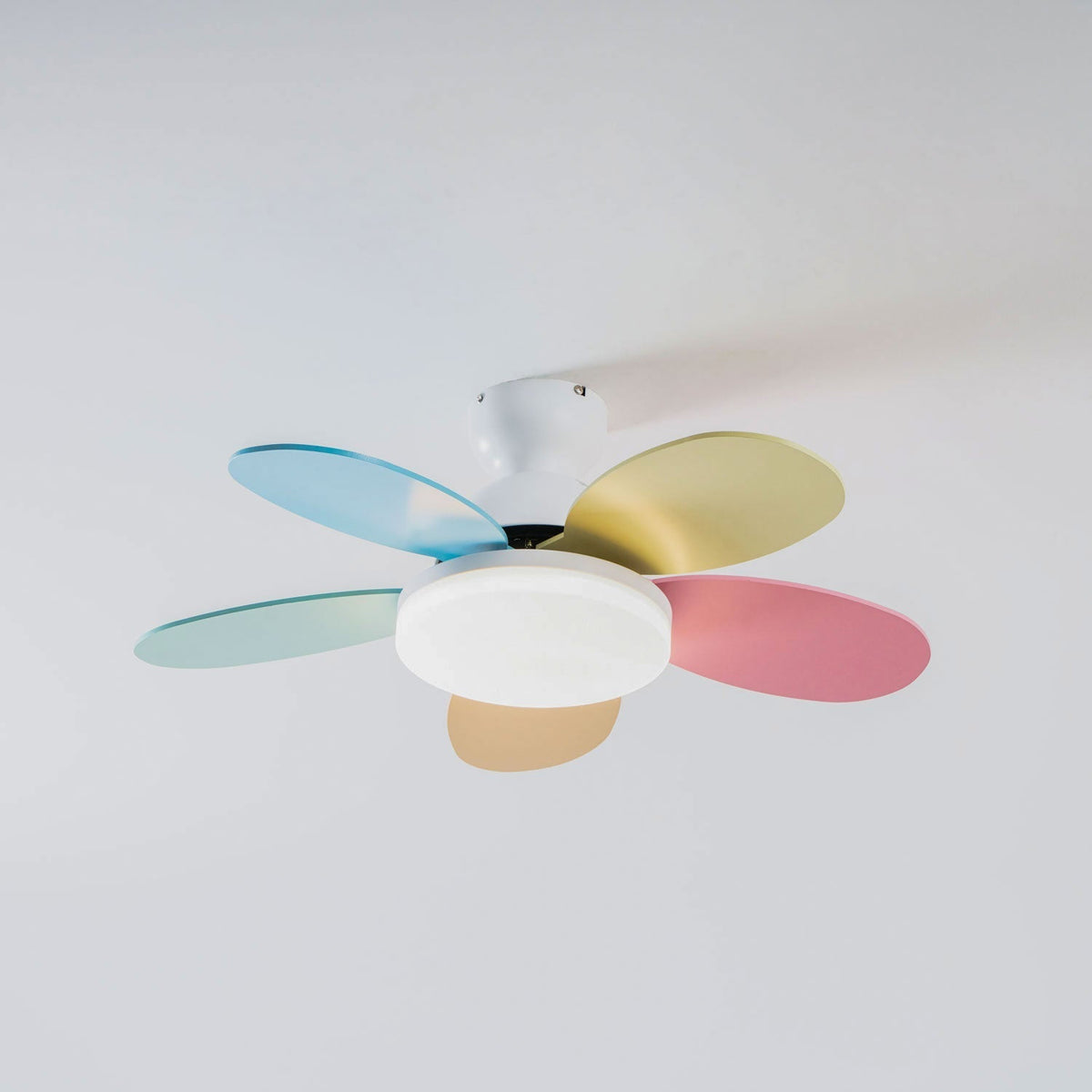 Eireise bunte Glas-Kinder-Deckenventilator mit Beleuchtung
