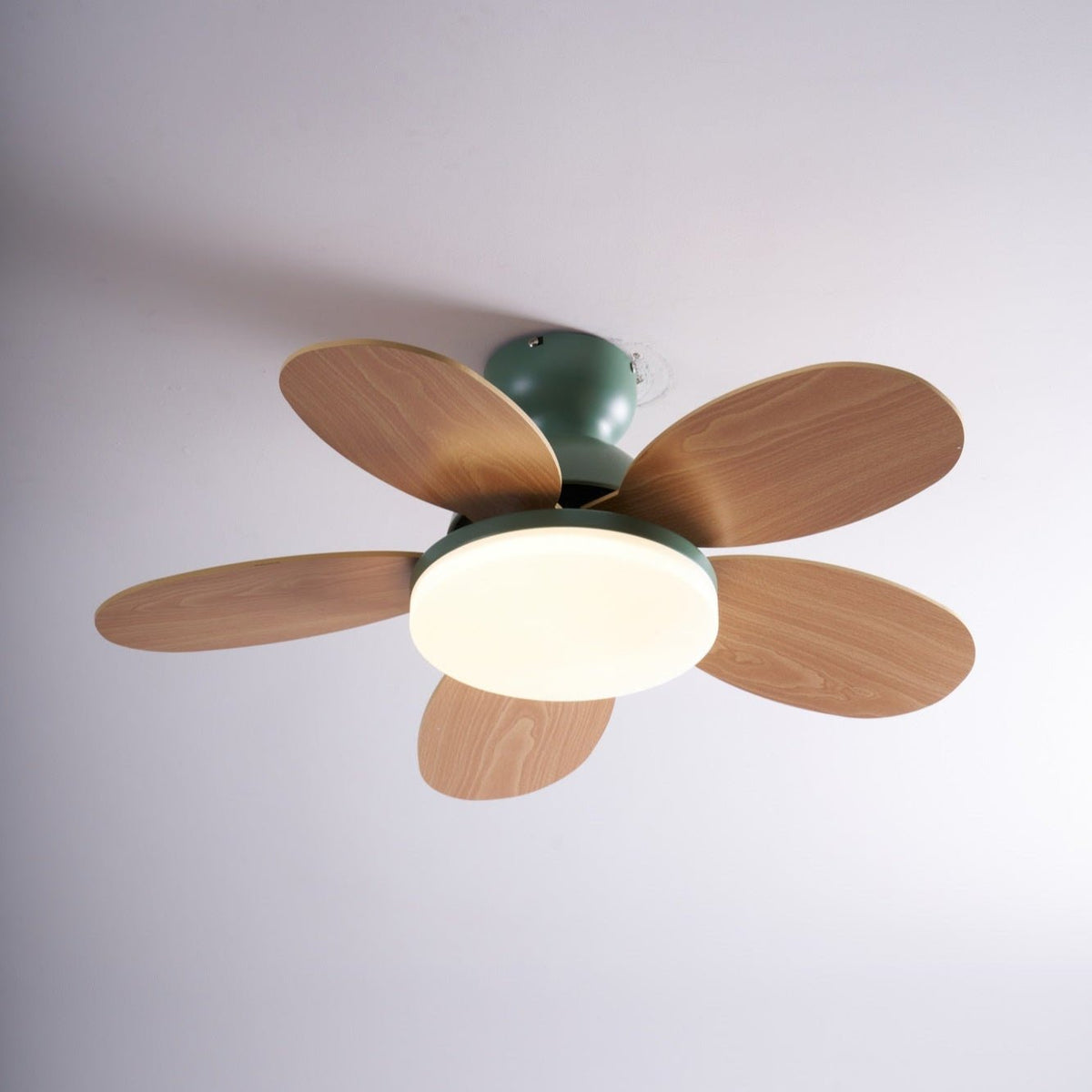 Eireise bunte Glas-Kinder-Deckenventilator mit Beleuchtung