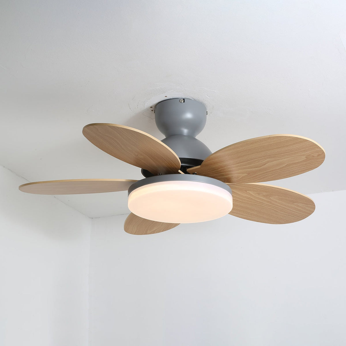 Eireise bunte Glas-Kinder-Deckenventilator mit Beleuchtung