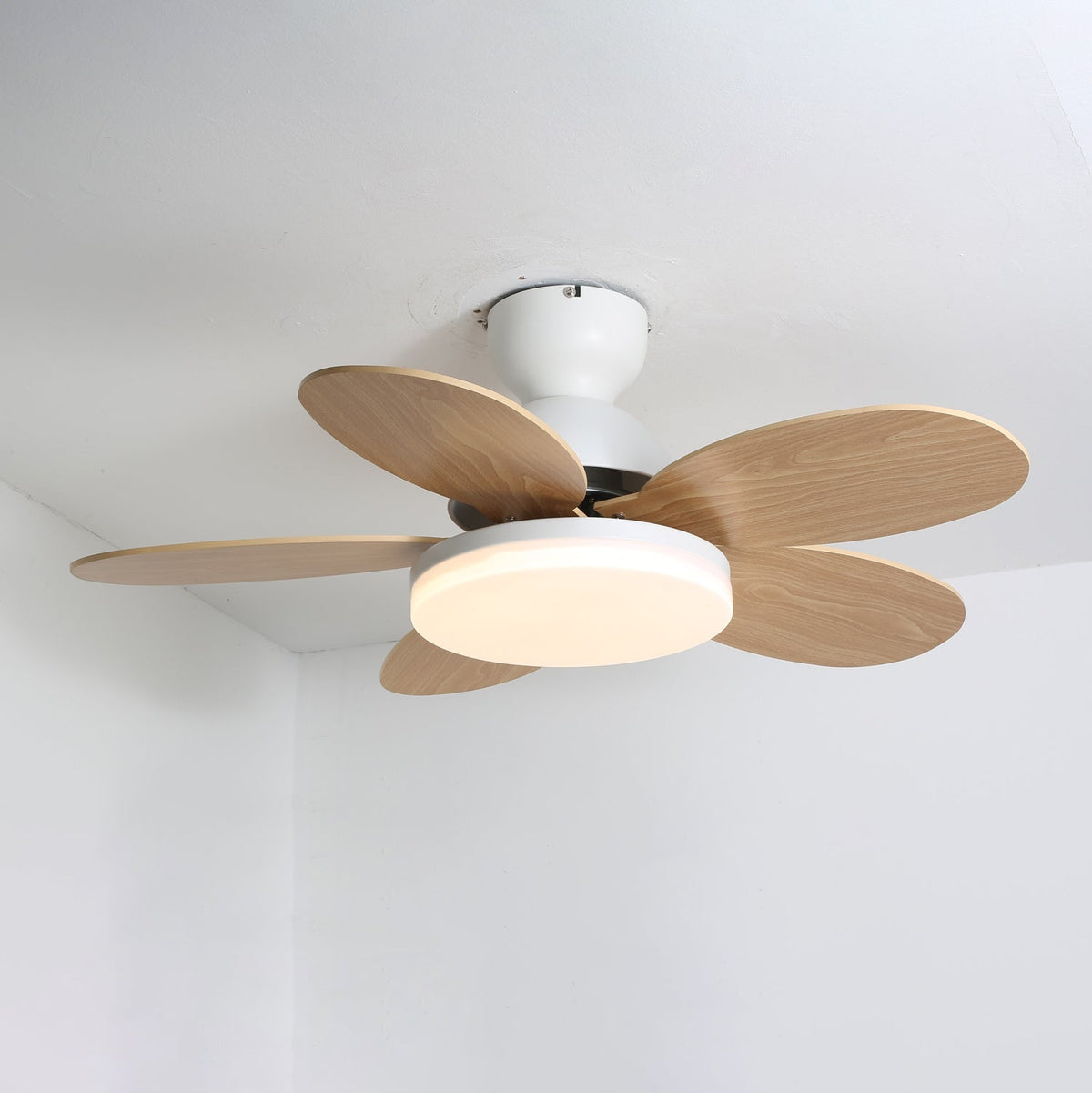 Eireise bunte Glas-Kinder-Deckenventilator mit Beleuchtung