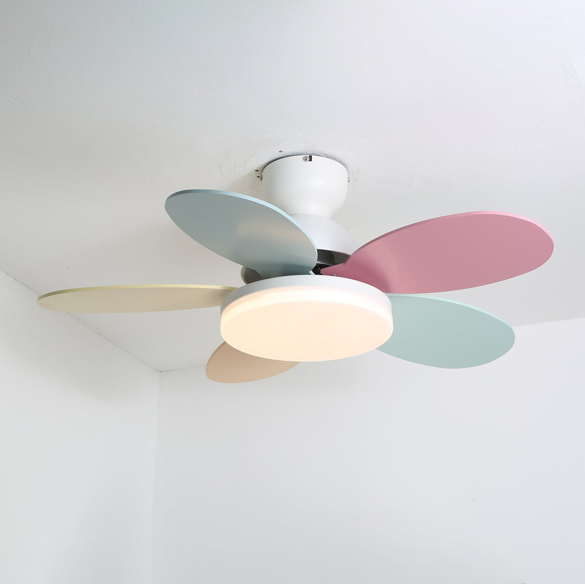Eireise bunte Glas-Kinder-Deckenventilator mit Beleuchtung