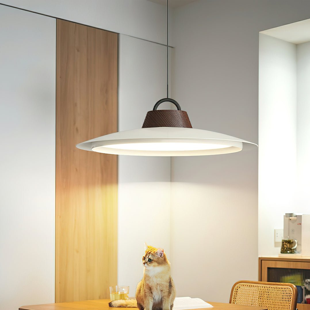 Liorivaine moderne Pendelleuchte