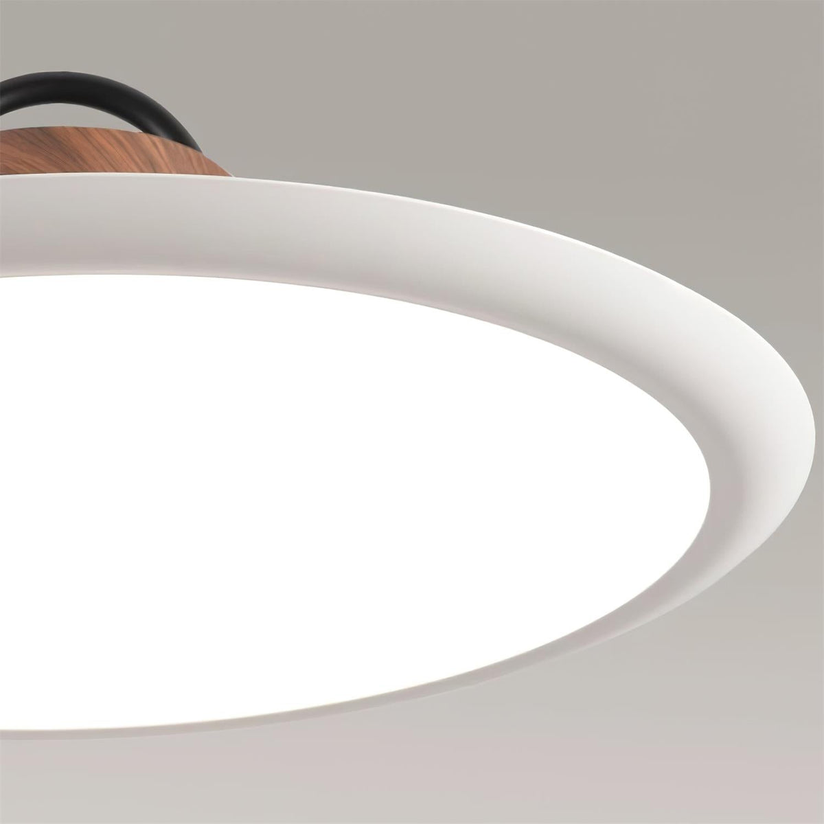 Liorivaine moderne Pendelleuchte
