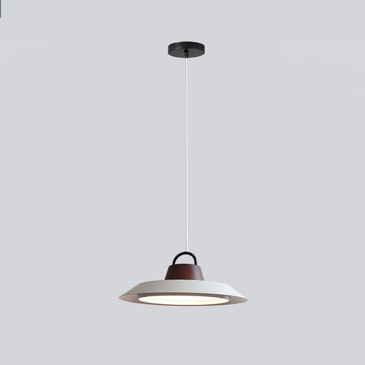 Liorivaine moderne Pendelleuchte