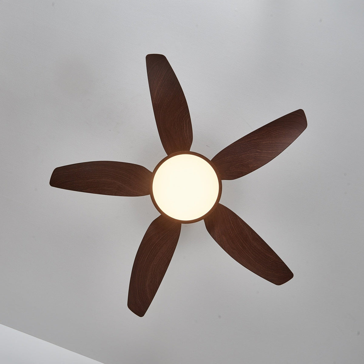 Sylenel Deckenventilator mit Beleuchtung aus Holz in Messingoptik