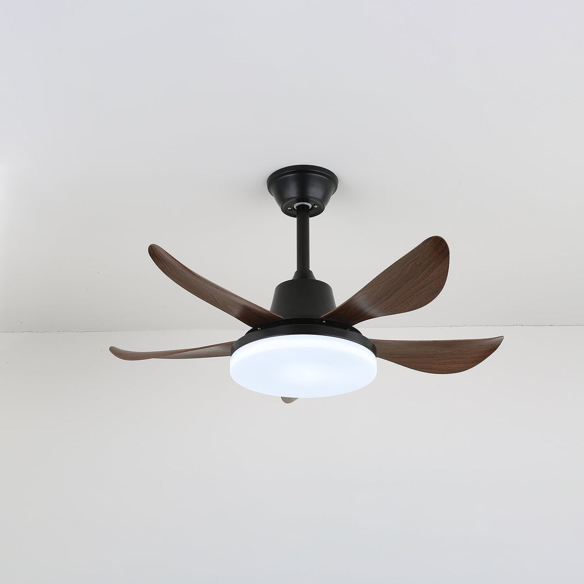 Callen zeitgenössische Deckenventilator mit Beleuchtung aus Holz-Holz