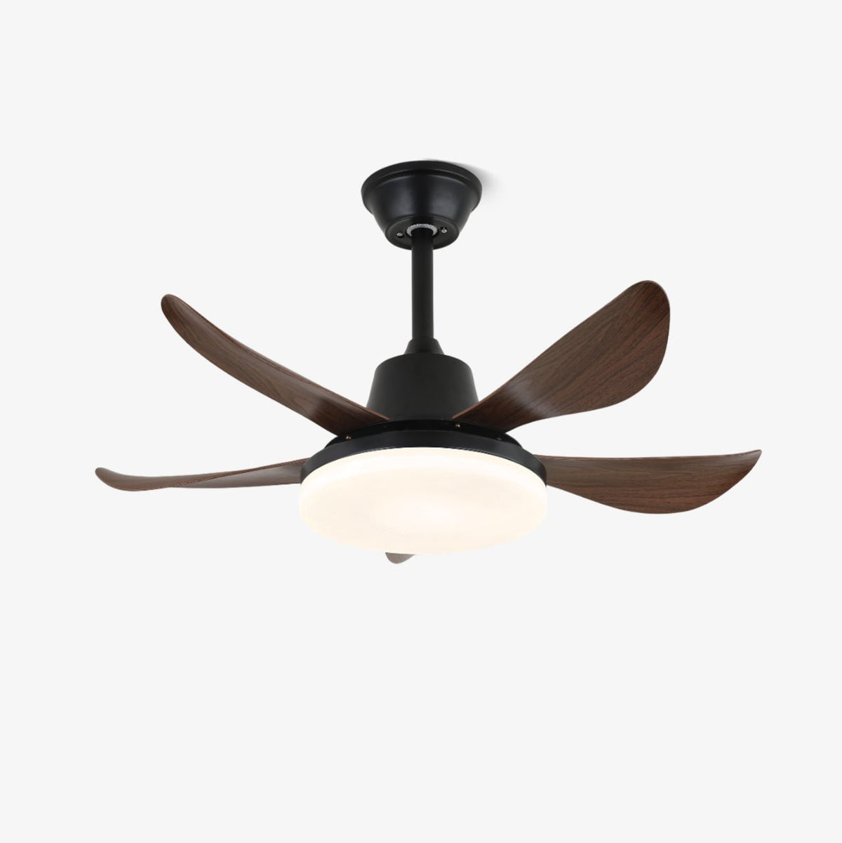 Callen zeitgenössische Deckenventilator mit Beleuchtung aus Holz-Holz