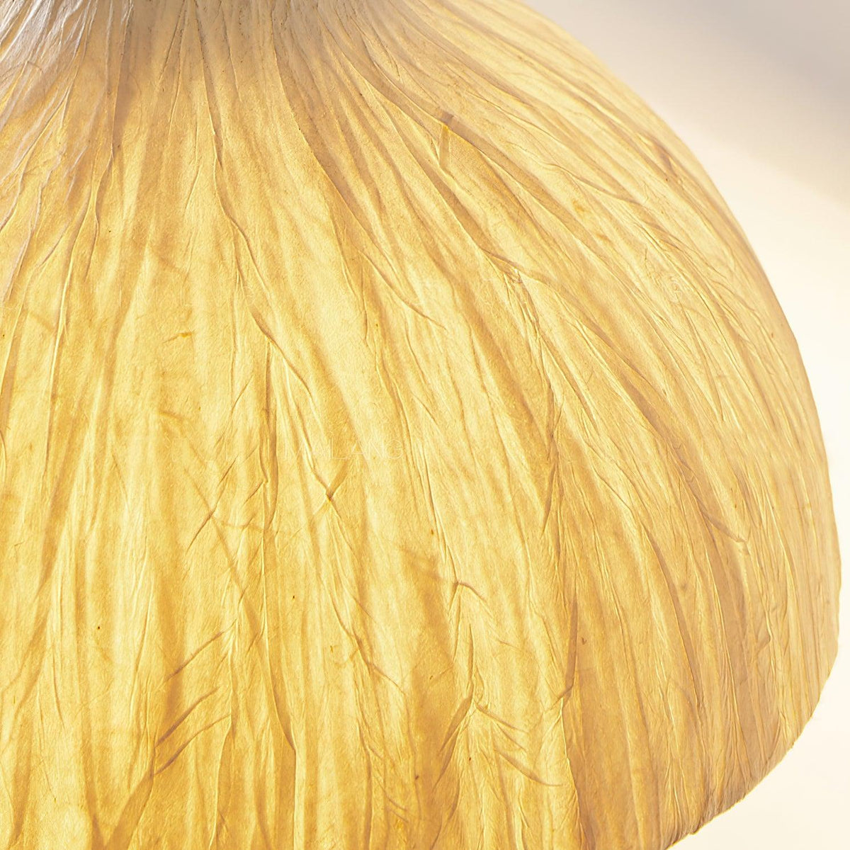 Vitheos Elegance Walnuss-Holz Wandleuchte in natürlicher Farbe