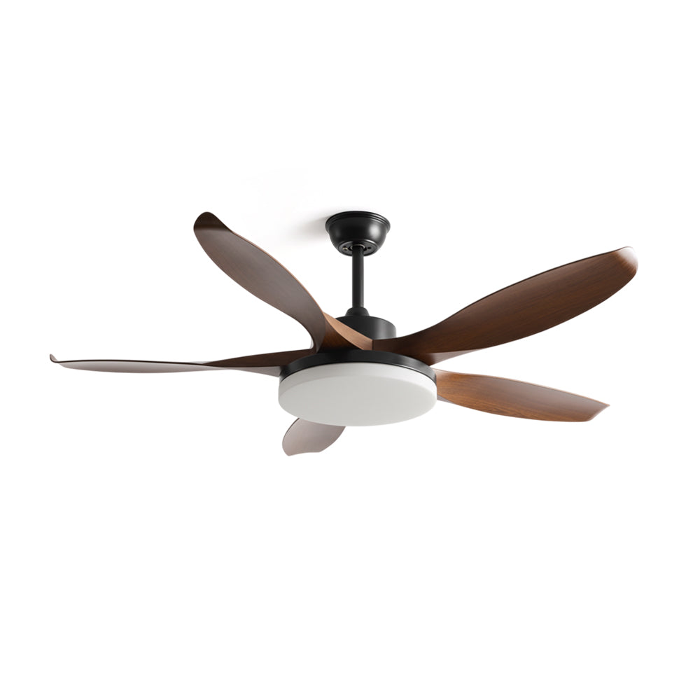 Liororeria Deckenventilator mit Beleuchtung