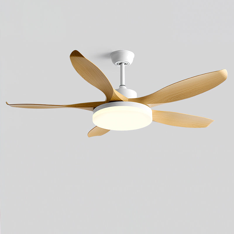 Liororeria Deckenventilator mit Beleuchtung