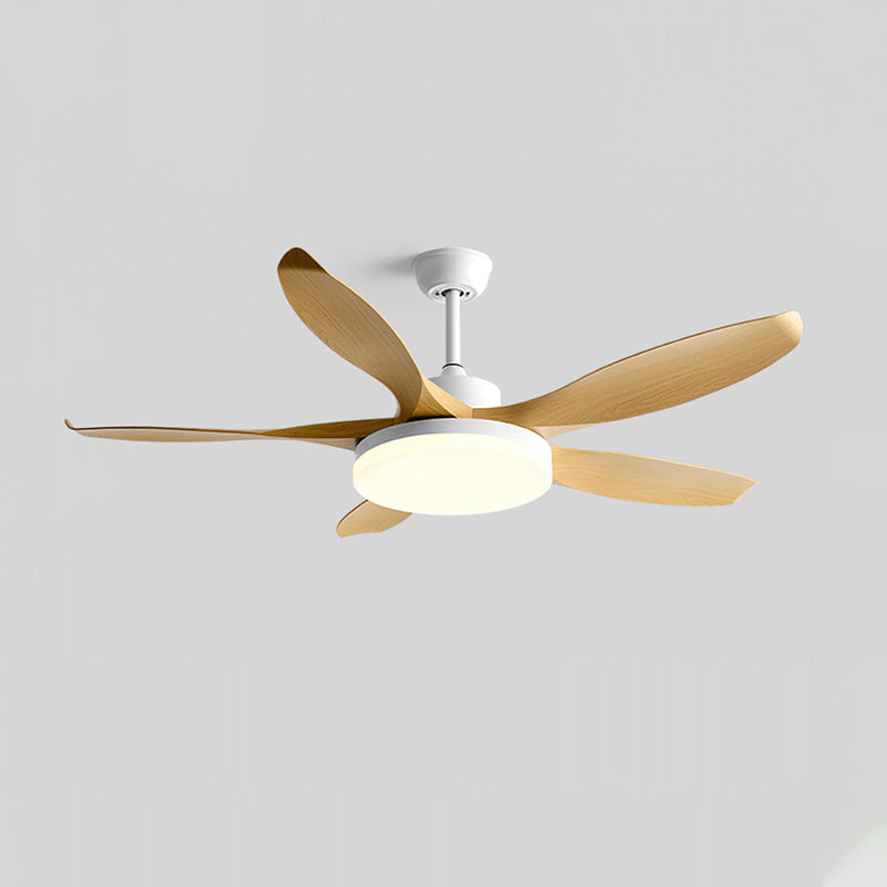 Liororeria Deckenventilator mit Beleuchtung