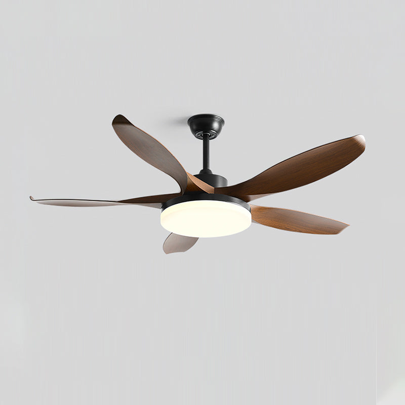 Liororeria Deckenventilator mit Beleuchtung