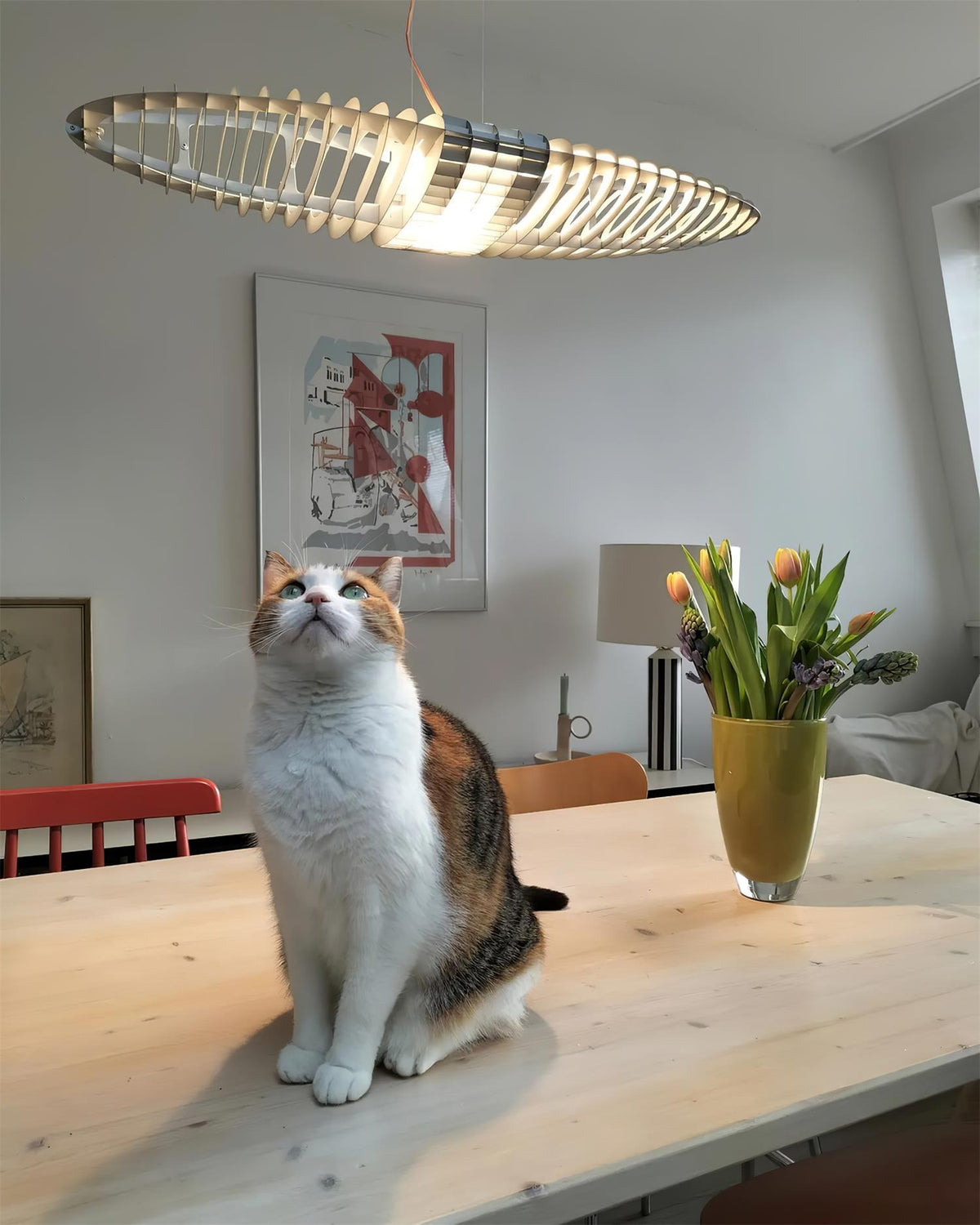 Leomill Pendelleuchte