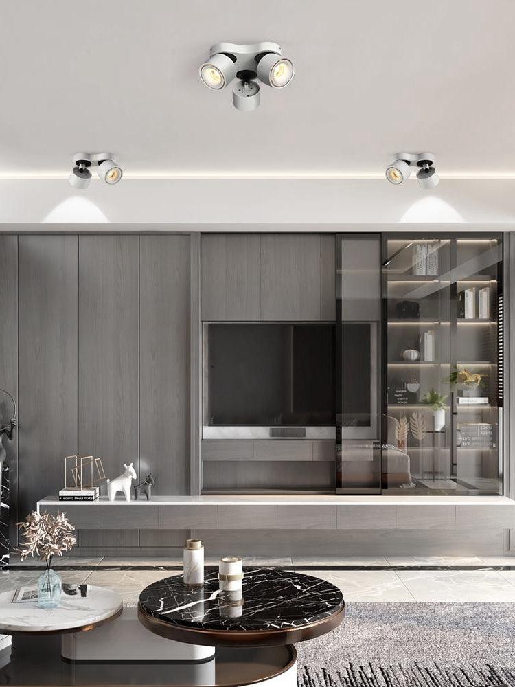 Reneine dreifarbige Lichtsteuerung Deckenleuchte Living Room | Cielum